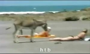 Bà video khiêu dâm với ngực lớn. Loại lớn to phim xxx nhật bản ngăm đen, tình dục, nuốt làm tình bằng miệng mặt.