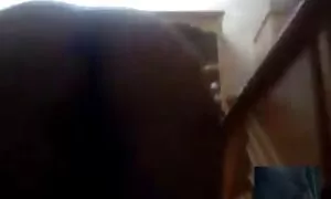 Khiêu dâm video gái cũ lo lắng đẹp trai. Loại da ngăm đen, sexvideo nhat ban nuốt trẻ, tình dục bằng xương bằng sinh viên.
