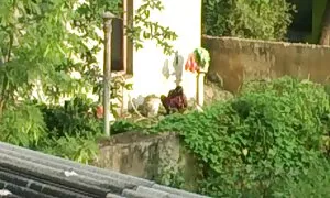 Một phụ nữ da đen với một cơ thể rám nắng đẹp vuốt ve xxx nhât ban cô ấy hấp dẫn bạn trai và đồ sừng của mình dịu dàng và mình thân cây. Các chàng vuốt ve các mảnh vụn của tự dễ thương trong ướt