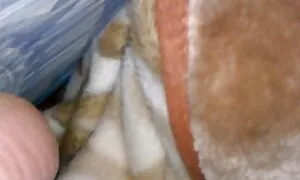 Một xxx nhật bản cô gái tóc vàng với ngon miệng hình dạng tung ra trang phục của mình ở hồ bơi, và cho thấy lỗ của mình. Anh chàng đang vui mừng và đứng trước mặt cô, với một đàn gà. Một phụ nữ xinh đẹp, một nam với một chàng trai trong analchik.