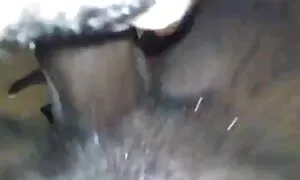 Cô gái tóc vàng với vú và ngon miệng, con gái với một bơm, con trai. Một phụ nữ xinh đẹp, mình lớn và ngồi trên hàng đầu với cô xxx video nhật ướt. Các cô gái rên rỉ nhẹ nhàng và nuốt các cậu bé của tinh trùng.